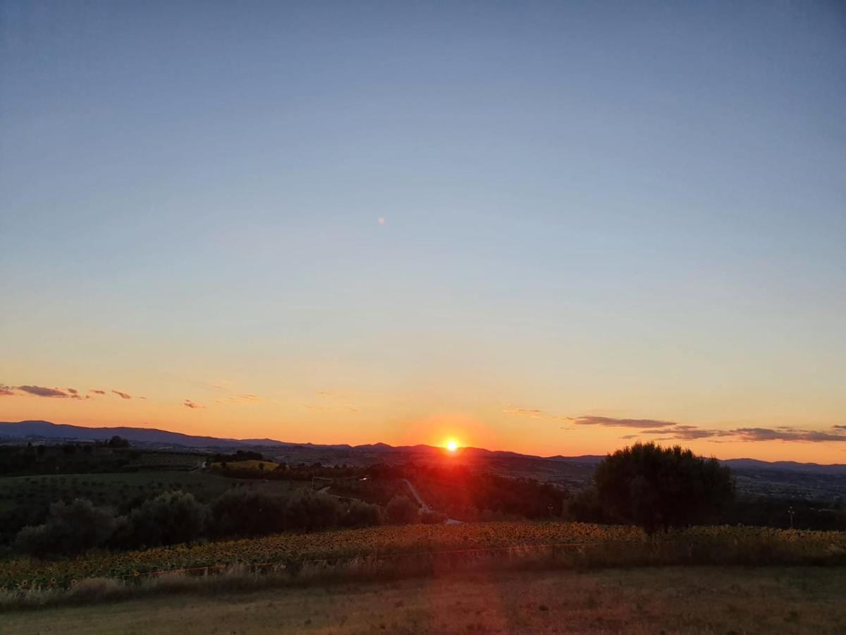 デルータ La Collina Bed & Breakfast エクステリア 写真