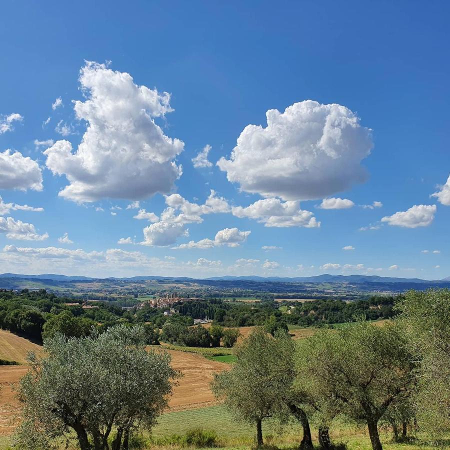 デルータ La Collina Bed & Breakfast エクステリア 写真