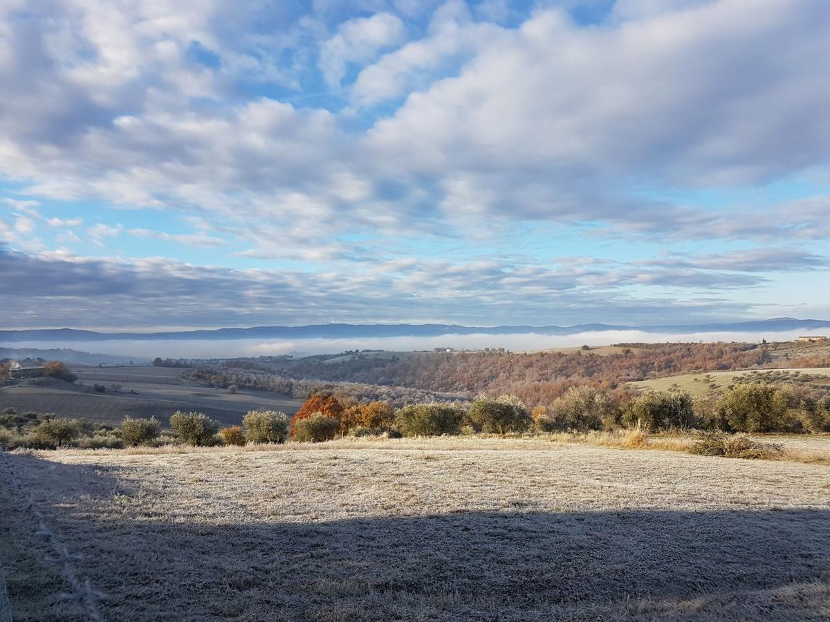 デルータ La Collina Bed & Breakfast エクステリア 写真